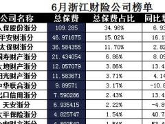 浙江省2017年前6月财险公司总保费排行榜.xls