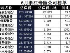 浙江省2017年前6月寿险公司总保费排行榜.xls