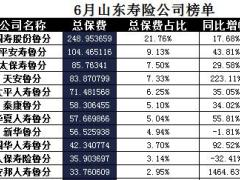 山东省2017年前6月寿险公司总保费排行榜.xls