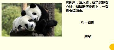 每日快乐早会17年10月9日使用15页.ppt