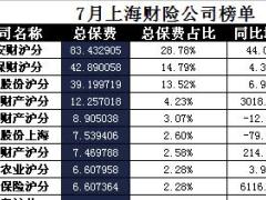 上海2017年前7月财险公司总保费排行榜.xls
