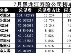 黑龙江省2017年前7月寿险公司总保费排行榜.xls