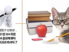每日正能量神童方仲永的不幸15页.ppt