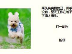 每日快乐早会17年10月10日使用15页.ppt