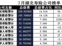 湖北省2017年前7月寿险公司总保费排行榜.xls