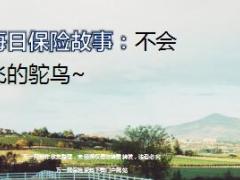 每日保险故事不会飞的鸵鸟8页.ppt
