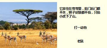 每日快乐早会17年10月11日使用15页.ppt
