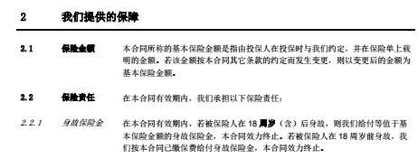 中荷人寿一生呵护B款终身重大疾病保险合同条款32页.rar