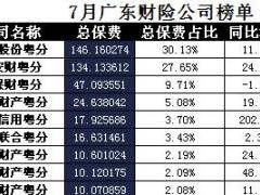 广东省2017年前7月财险公司总保费排行榜.xls