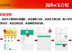 分公司四季度国寿e宝推广支持方案31页.ppt