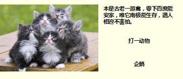 每日快乐早会17年10月13日使用15页.ppt