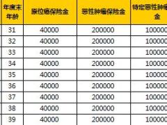 阳光人寿健康保终身恶性肿瘤疾病保险利益计算器2页.xls