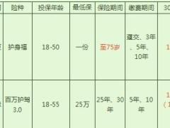 大童在售驾乘险总汇总3页,.xls