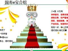 国寿e宝注册登录及抽奖相关事项说明13页.ppt