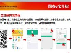 国寿E宝藏大抽奖推广方案宣导17页.ppt