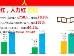 机构开门红工作汇报实施要领与展望48页.ppt