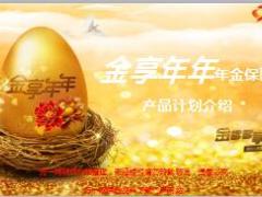 阳光人寿金享年年产品基础知识介绍45页.ppt