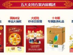 五大支持方案备战开门红国寿版22页.ppt
