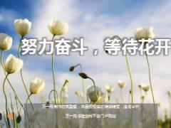 每日鸡汤努力奋斗等待花开.rar