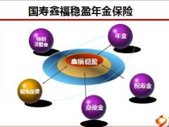 国寿鑫福稳盈年金保险产品宣导片27页.ppt