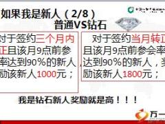 中国人寿钻石会员基本法利益分析40页.ppt