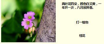 每日快乐早会17年10月19日使用15页.ppt