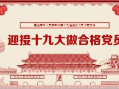 迎接19大做合格党员PPT模板40页.pptx