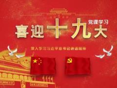 喜迎十九大PPT模板23页.pptx