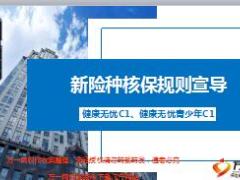 新华健康无忧C1健康无忧青少年C1核保规则宣导19页.ppt