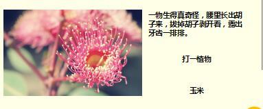 每日快乐早会17年10月20日使用15页.ppt