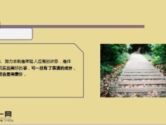 每日鸡汤2017最激励人心的励志语录.rar