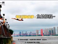 每日保险故事鱼的旅程8页.ppt