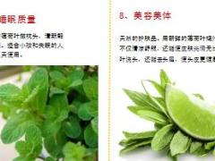 每日健康阳台种一盆药食两用消炎止痒健胃9页.ppt
