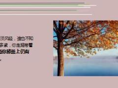 每日鸡汤要让人觉得毫不费力只能背后极其努力.rar