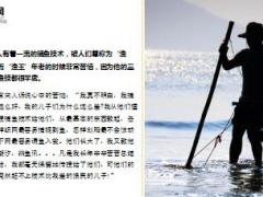 每日保险故事鱼王7页.ppt