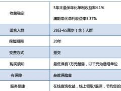 国华泰山5号年金保险产品简介条款说明书.rar