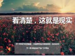 每日鸡汤看清楚这就是现实.rar
