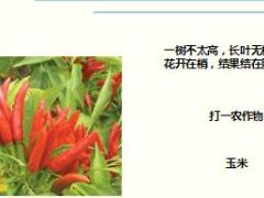 每日快乐早会17年10月26日使用15页.ppt