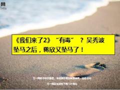 我们来了2吴秀波坠马之后蒋欣又坠马16页.ppt