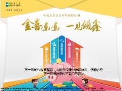 中英人寿金喜年年开发背景产品解析销售案例49页.ppt