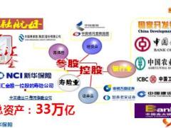 新华保险2017公司介绍17页.ppt