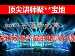 2018开门红中支高端酒会产说会宣导片20页.ppt
