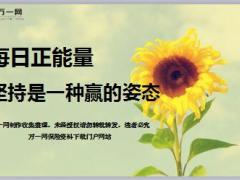 每日正能量坚持是一种赢的姿态11页.ppt