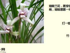 每日快乐早会17年10月31日使用15页.ppt
