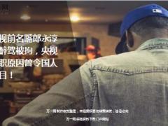 央视前名嘴郎永淳因醉驾被拘14页.ppt