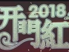 视频太平人寿2018开门红卓越至尊新产品培训.rar