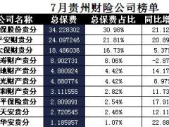 贵州省2017年前7月财险公司总保费排行榜.xls