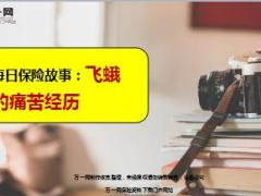 每日保险故事飞蛾的痛苦经历8页.ppt