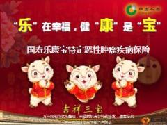国寿乐康宝特定恶性肿瘤疾病保险宣导课件24页.ppt