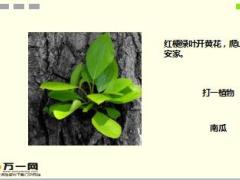 每日快乐早会17年11月06日使用15页.ppt